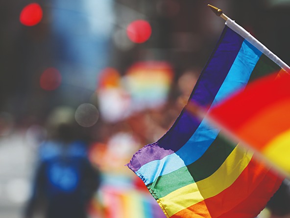 a photograph of a rainbow flag
